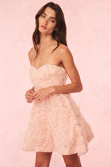Bellamina Organza Rose Mini Dress