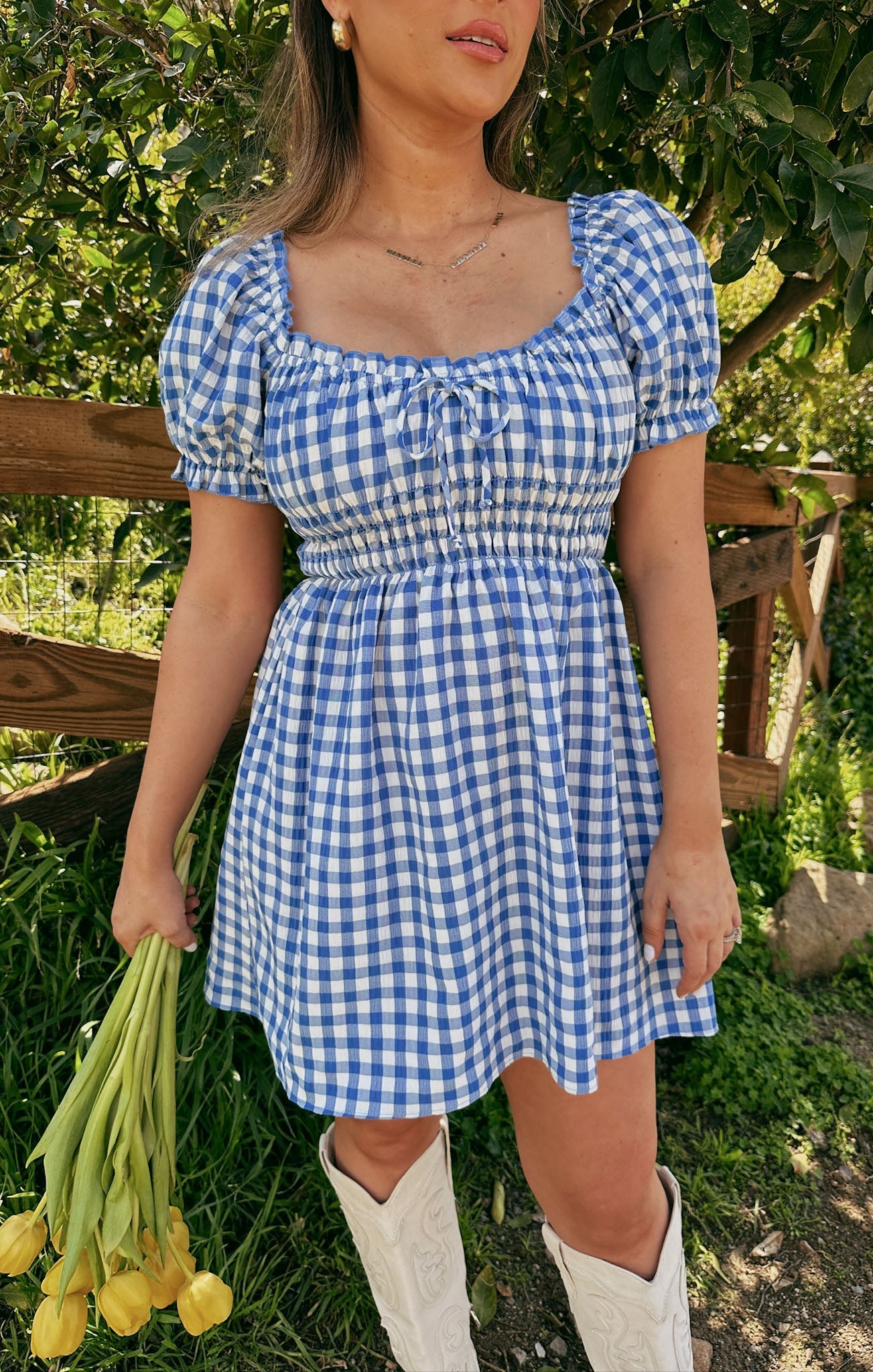 Esme Mini Dress ~ Blue Bounty Gingham